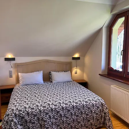 Maximo - 50m From The Apartman