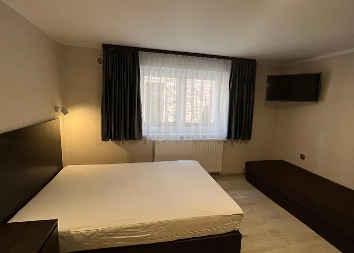 Maximo - 50m From The