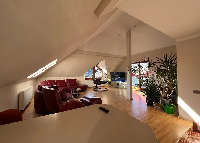 Maximo - 50m From The Дарлувко